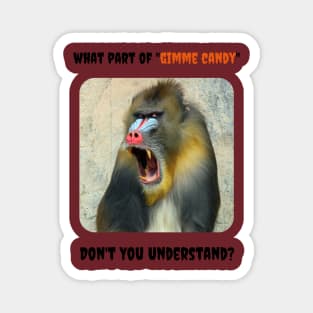 What Part of "Gimme Candy" Don't You Understand? (Baboon) Magnet