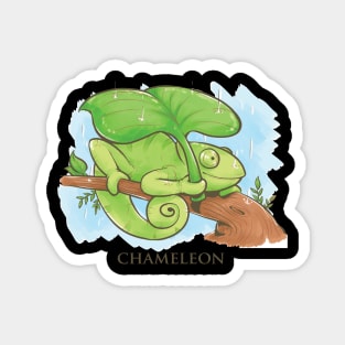 Funny Chameleon Magnet