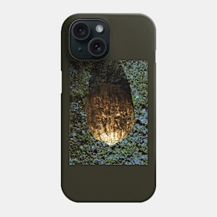 Golden Nut Shell Phone Case