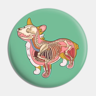 Corgi Anatomy Pin