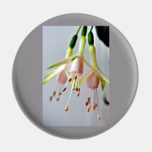 White Fuchsia Hawkshead Summer Flower Pin