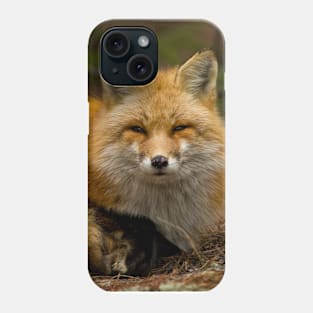 Red Fox Phone Case