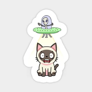 Cute siamese cat is abducted by aliens Magnet