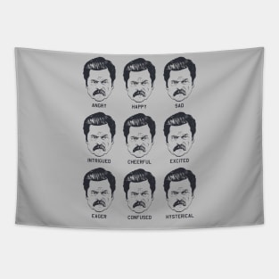 Ron Swanson Emotions Parks and Recreation Tapestry