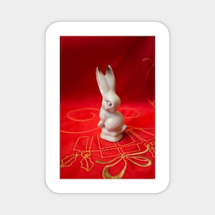 White bunny on red background Magnet