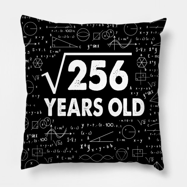 Square Root of 256 16th Birthday 16 Years Old Math Science Lover Gifts Nerdy Geeky Gift Idea Pillow by smtworld