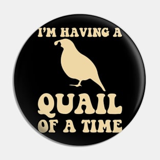 I'm having a Quail of a time funny Pin