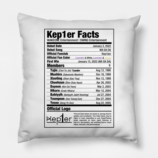 Kep1er Nutritional Facts 2 Pillow by skeletonvenus