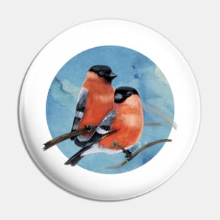 Bullfinches, watercolor Pin