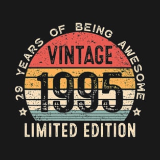 Est 1995 Limited Edition 29th Birthday Vintage 29 Year Old T-Shirt