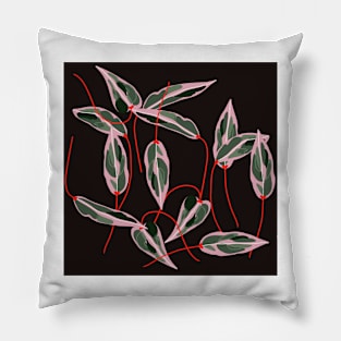 Calathea Pillow