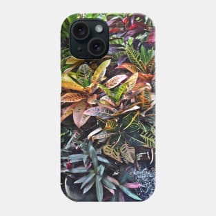 Croton in Greenhouse Phone Case