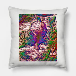 A pooch on acid Pillow