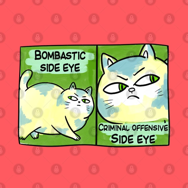 BOMBASTIC SIDE EYE FUNNY TIKTOK CAT MEME by Aydapadi Studio