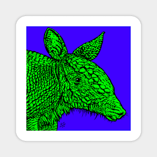 ARMADILLO .1 Magnet