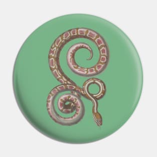 Python Vintage Snake Reptile Scientific Drawing Pin