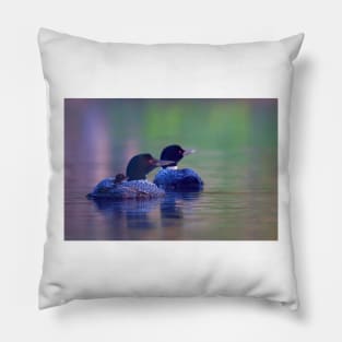 Morning outing - Common loon Pillow