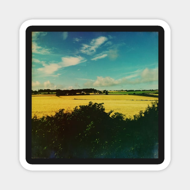 Summer Farmland Magnet by hextrovert