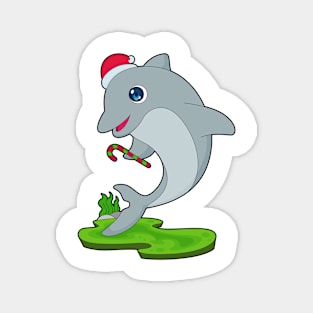 Dolphin Christmas Candy cane Magnet