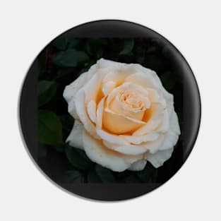 Rose Pin