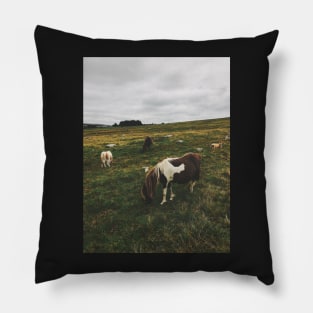 Wild Ponies in England Pillow