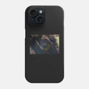 Eye to Eye Phone Case