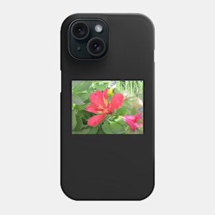 Peruvian Lily / Red Alstromeria Phone Case