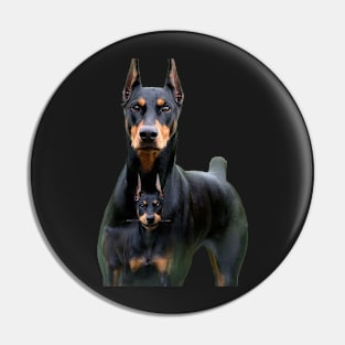 doberman and his son Pin