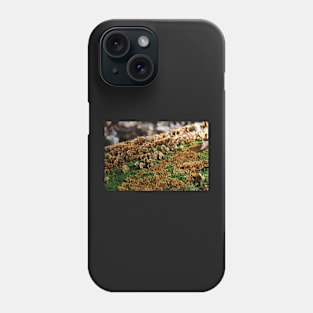 Lichen the Crowds Phone Case