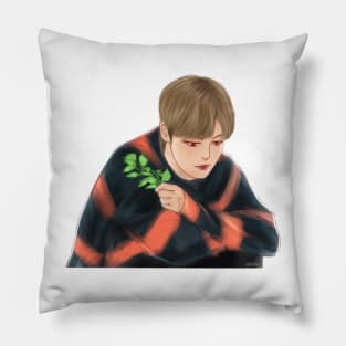 Ahn Jae Hyun Pillow