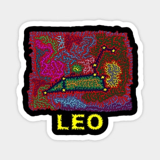 Constellation Leo Magnet