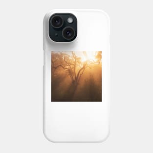 Atmosphere Phone Case