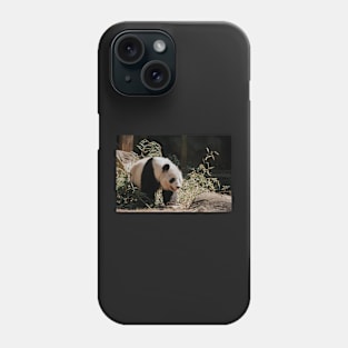 Panda Phone Case