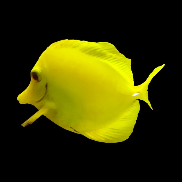 Fish - Yellow Tang by SusanSavad