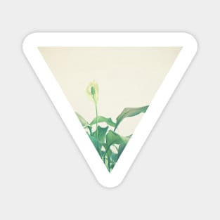 Peace Lily Magnet