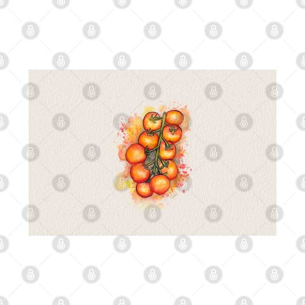 Tomatoes watercolour Artwork by Annalisa Amato by annalisaamato