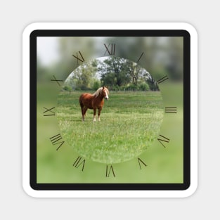 Lonely sorrel horse on green pasture Magnet