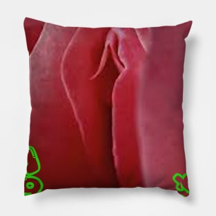 Vegan Taste Better Pillow