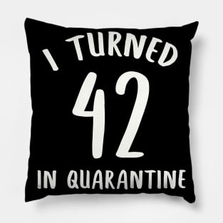 I Turned 42 In Quarantine Pillow