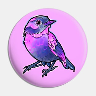 cute blue and pink bird Pin