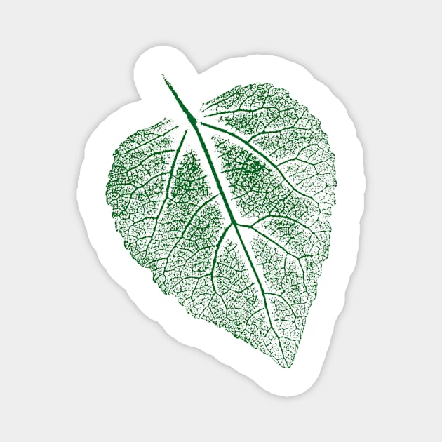 Leaf Linden Tree - Imprint Leaves Design Magnet by Nikokosmos