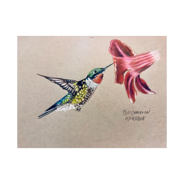 Ruby Throated Hummingbird by Bill Cameron Fine Art