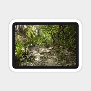 Niue walking track. Magnet