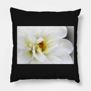 White Dahlia Pillow