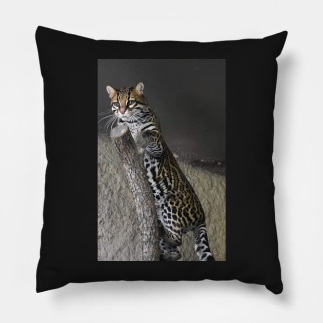 Ocelot Pillow by Sharonzoolady