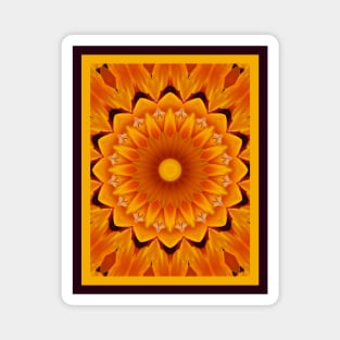 Sunburst Daisy Mandala Magnet