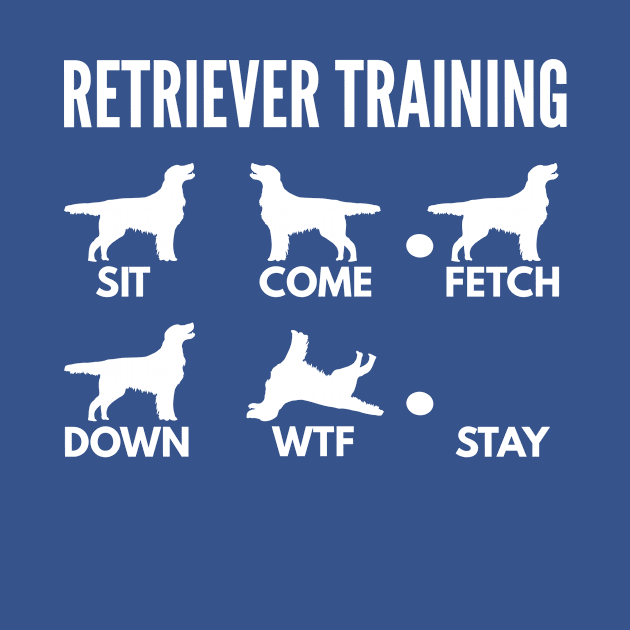 Retriever Training Retriever Dog Tricks by DoggyStyles