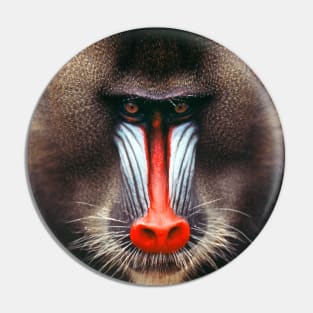 "Tough Love" Baboon Pin