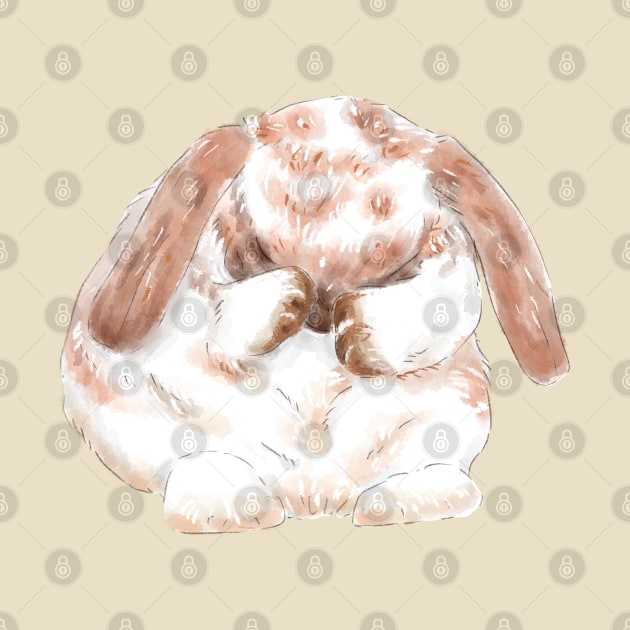 Shy Holland Lop Bunny by GambarGrace