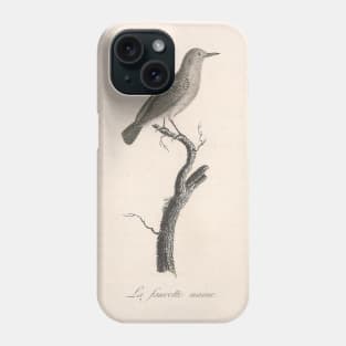 La Fauvette Naine Phone Case